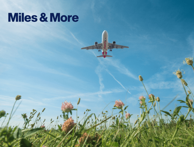 Ein Eurowings Flieger am blauen Himmel Ã¼ber einer Blumenwiese. Jetzt mehr erfahren.