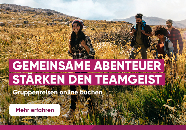 Eine Gruppe von Freund:innen beim Wandern in der Natur.
